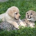 [NCT] ㅅㄷ <b>me</b> 오늘 수치사 했숴..