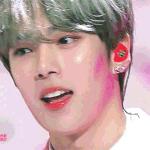 <b>말</b><b>티쥬</b> 닮았다고 유명한 남돌들 있잖아