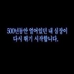 [댓글부탁해] 울짖 고양이 카메라 의식한닼ㅋㅋㅋㅋ