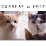 [댓글부탁해] 울언니<b>망사</b>스타킹들켯는데