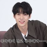 [NCT] 뒷북 둥둥인데 도영 거품