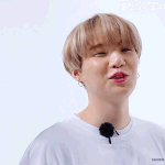 [방탄소년단] 최애에 진심인편