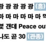 ??아이돌 응원법에 관종...?