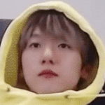 [EXO] 난 사람들이 백현이 부를때