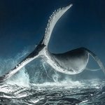 바다로 퐁당 뛰어 들어가면..