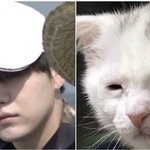 [방탄소년단] 이거 너무 우리 <b>모습</b> 아니니...