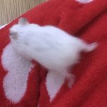 [ㅈㄱㄴ] 오늘은 내 생일이다···