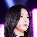 머글도 아는 입덕<b>요정</b>들