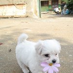 [댓글부탁해] 일반<b>고면</b> 3등급으로 대학 못가?