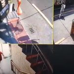 "명품시계 살려는데…" <b>업주</b> 한눈판 사이 롤렉스 훔쳐 줄행랑