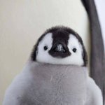 [EXO] <b>경수</b> 보고싶다