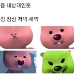 [드루와] 나 하루 벼락치기 조진다