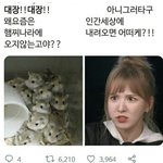 웬디 이 <b>사진</b> <b>원본</b> 있는 사람???!!???