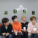 외국인 멤버에게 The <b>love</b> 쓰면 안되는 이유