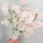 [댓글부탁해] 애들아 요즘 놀면 안되겠지..?