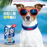 [EXO] 아 어뜩해 비비 촬영한다는거 진짜 멍맥일거 같음