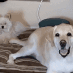 아이<b>돌</b>들도 <b>뒤</b>에서 다른그룹 서로 얘기할까,??