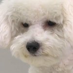[댓글부탁해] 나 돈 없는데 <b>미술</b> 시작하지 말까?
