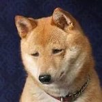 [드루와] 얘들아 제발 한번만 들어와줘!!!ㅠㅠㅠㅠㅠ