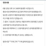 [드루와] ❗<b>동묘</b>시장 임신한 고양이 학대 청원❗