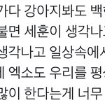 <b>사라</b>내 엑소... 뼈 묻어..