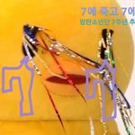 [방탄소년단] 7주년에 우리들은