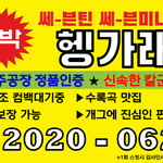 [세븐틴] <b>셉틴</b> 홍보