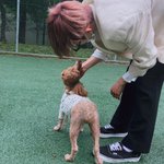 더보이즈로 갈아탔는데 얘네 찐이다ㄹㅇ