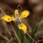 최후의 엔터즈니의 운좋았던 오프썰