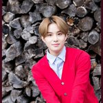 [NCT] 이 사진 보자마자
