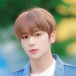 <b>혼란</b>한 틈을 타 워더