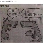 친언니 고삼인데 인생망함 개심각해ㄹㅇ