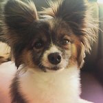 [NCT] 127 킹바보 나오면좋겠는이유는