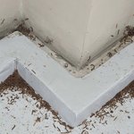 [꼭조언부탁] 이런경우 방법있나요?