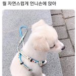 얘들아 나 꿈이 있어