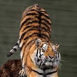 [NCT] 더이상 못참겠다