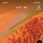 <b>와이</b>라노 들어가자마자 개놀람