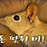 [드루와] 야 얘들아 얘 심리 뭐인것같음??