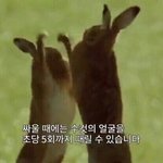 [드루와] 사워캔디 로제파트