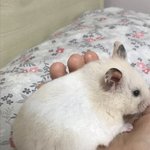 [댓글부탁해] 10분째 이런다 손<b>저려</b>.......