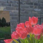 고3 문<b>돌돌</b>이 친구들만 들어와봐