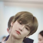 <b>입양아</b> 나잼인