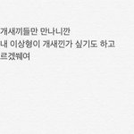 [댓글부탁해] 갤러리에 있는 웃긴짤 다 <b>풀자</b>! 2탄