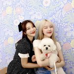 [모두드루와] 조이랑 <b>예린</b> 연애하는거같앜ㅋㅋ