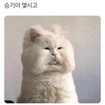 오늘 걍 동생 쫌 놀렷는데 동생이 나 할켜서 피났음