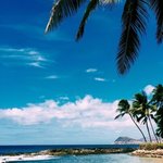 [드루와] 근데 니네 여름에 <b>물놀</b>이 갈거임?