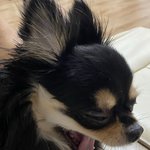 [드루와] 우리집 멈무 좀 봐줘