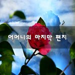 [꼭조언부탁] 어머니의 마지막 편지~