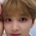 [NCT] 진짜 이거보고