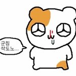 <b>카</b><b>공</b>할거야